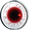 wijn vormt tranen in het wijnglas