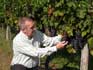 Marc controleert de druiven in de wijngaard