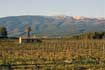 De wijngaard van Domaine Les Hautes Briguières aan de voet van de Mont Ventoux