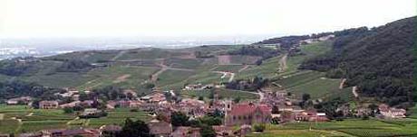 Panorama van de Mâconnais wijnstreek