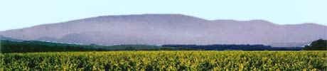 Panorama van de Rhône wijnstreek
